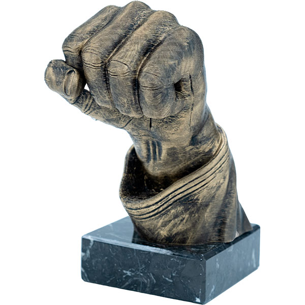 Trofeo puño artes marciales 3D