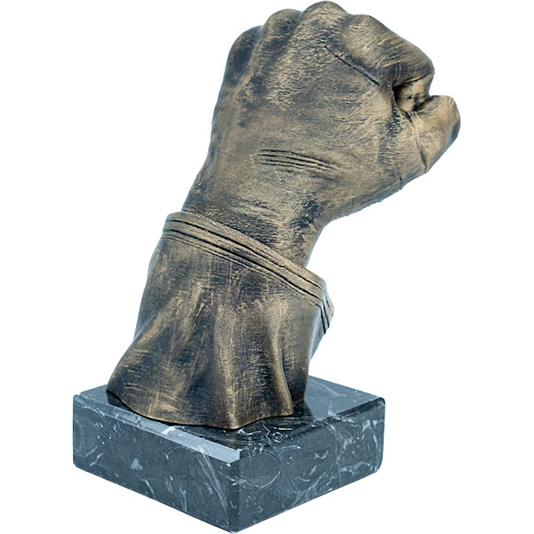 Trofeo puño artes marciales 3D